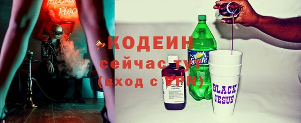 хмурый Абаза