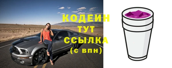 хмурый Абаза