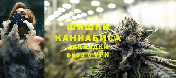хмурый Абаза