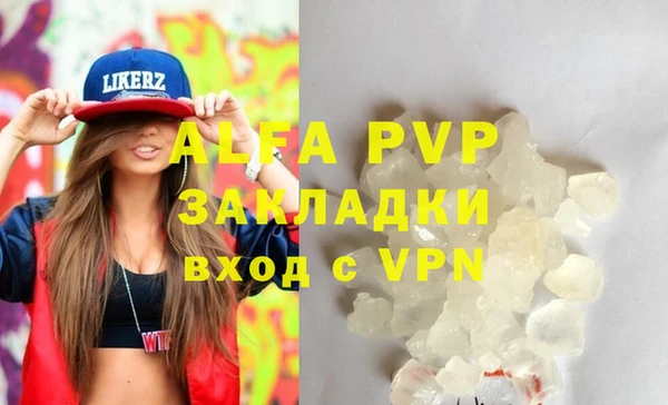 хмурый Абаза